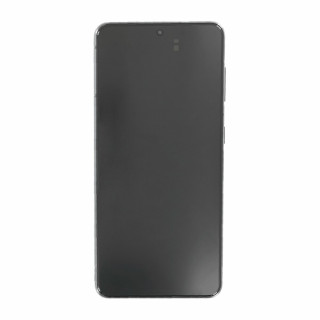 Szkło i ekran LCD do Samsunga Galaxy S21 5G / SM-G991, oryginalny, szare