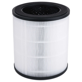 Filtr do Rowenta Pure Air City PU2840, XD6280F0